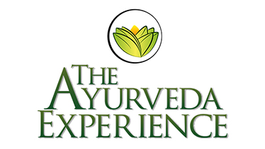 logo The Ayurveda Experience